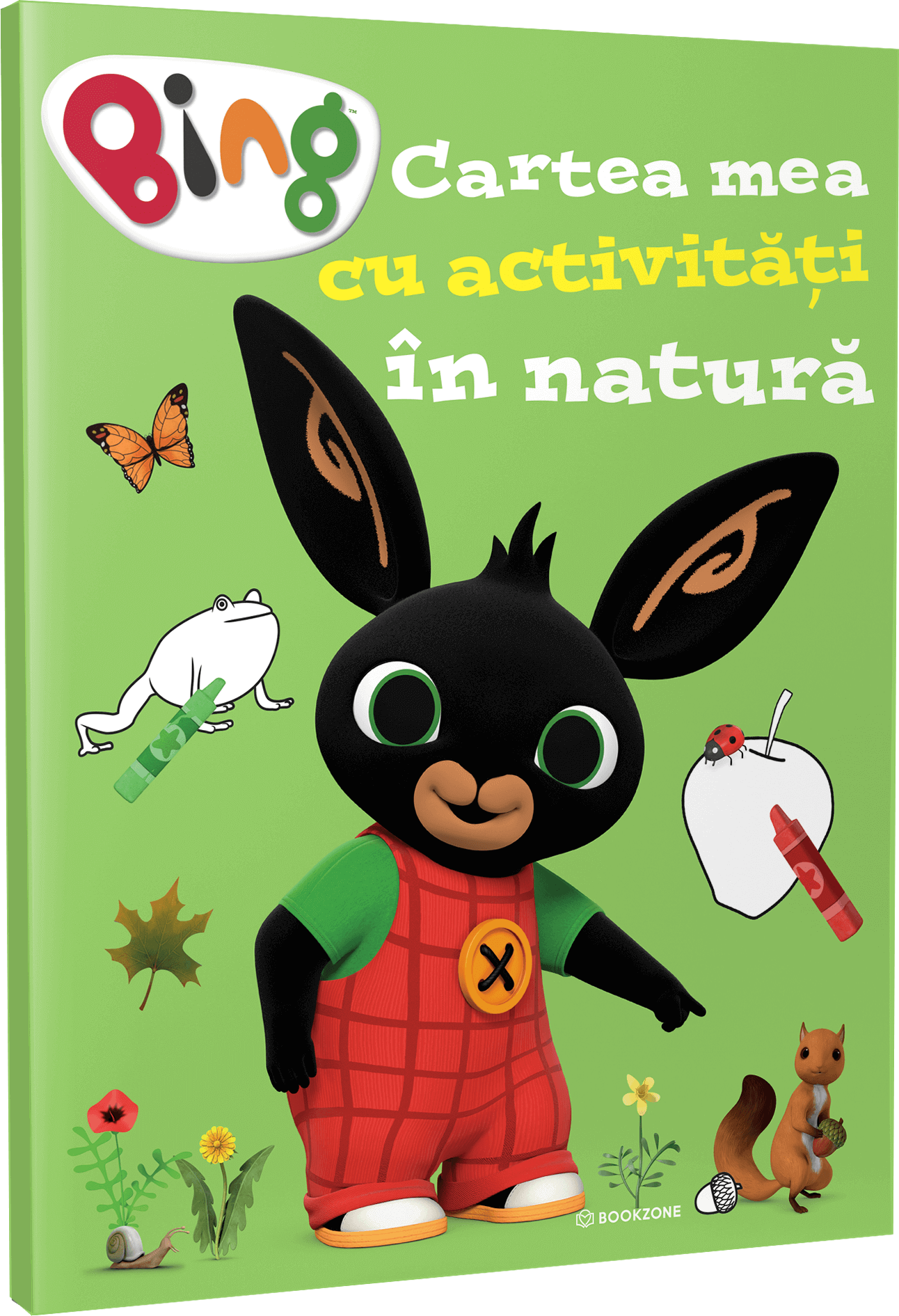 Carte bing activitati