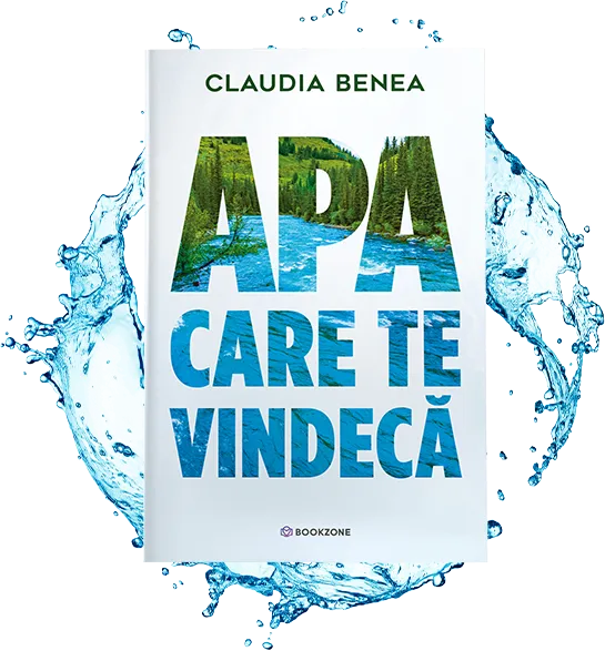 Book name