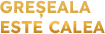 Logo Mobile