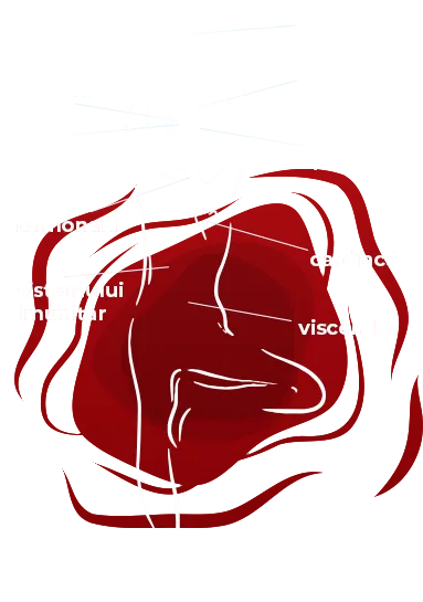 Anxietate