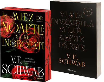 Book name