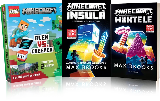 Book name
